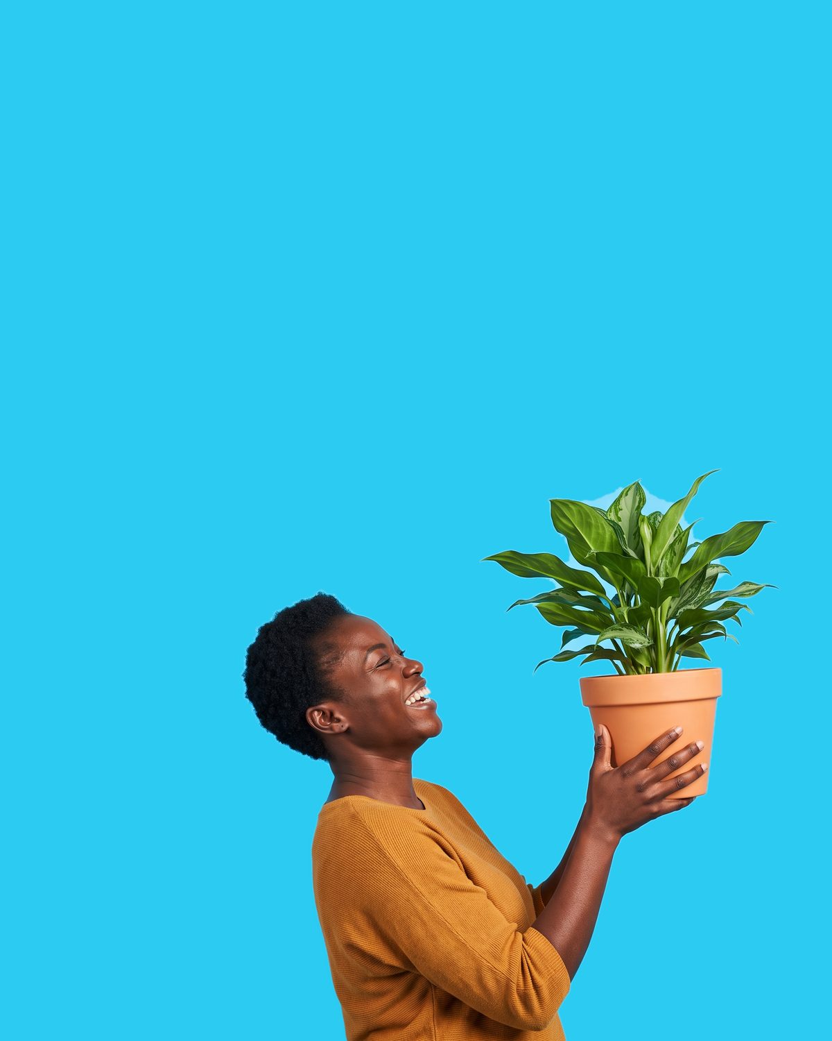 A woman laughing as she lifts a potted green aglaonema houseplant up in both hands to look at it